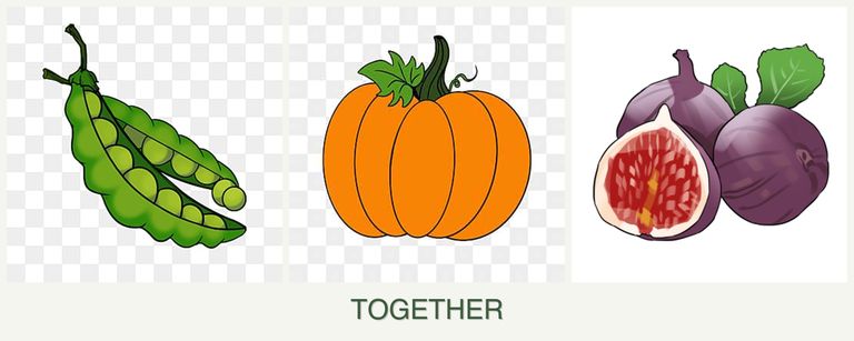 Can you plant peas, pumpkin and figs together?
