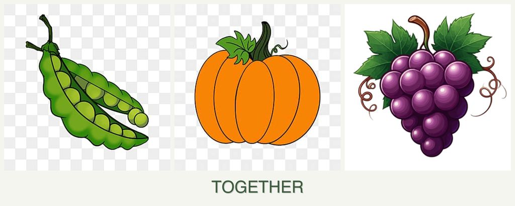 Can you plant peas, pumpkin and grapes together?