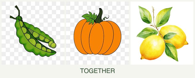 Can you plant peas, pumpkin and lemons together?