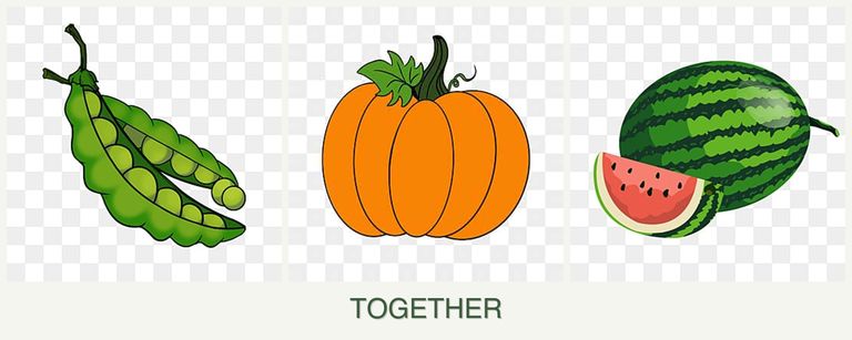 Can you plant peas, pumpkin and melons together?