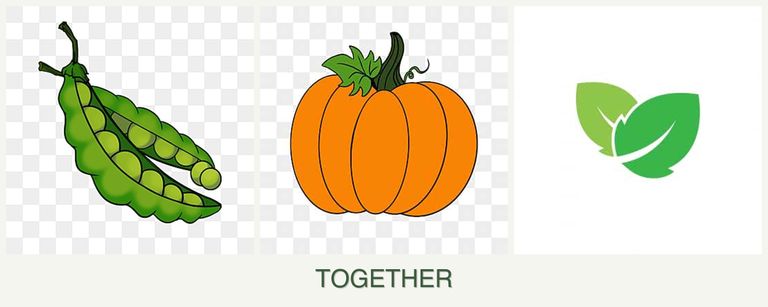 Can you plant peas, pumpkin and mint together?