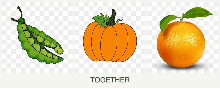 Can you plant peas, pumpkin and oranges together?