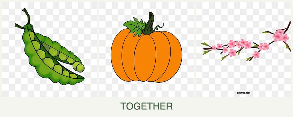 Can you plant peas, pumpkin and peaches together?