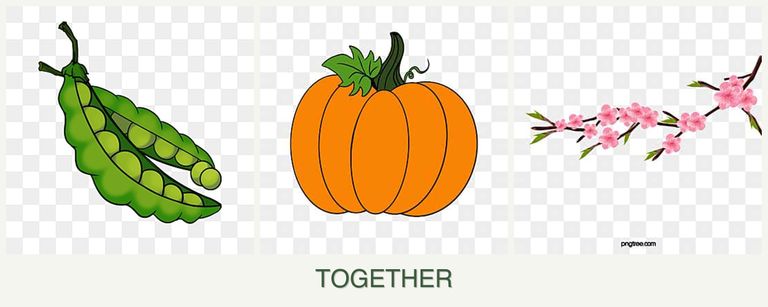Can you plant peas, pumpkin and peaches together?