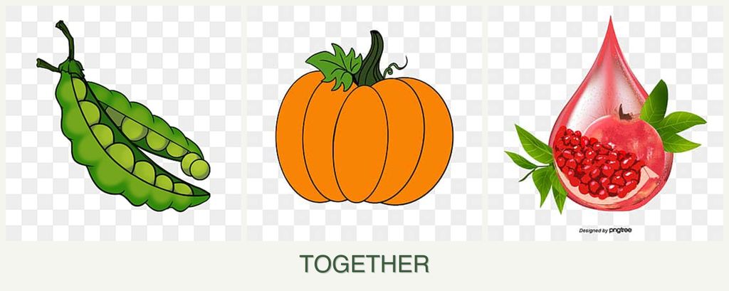 Can you plant peas, pumpkin and pomegranates together?