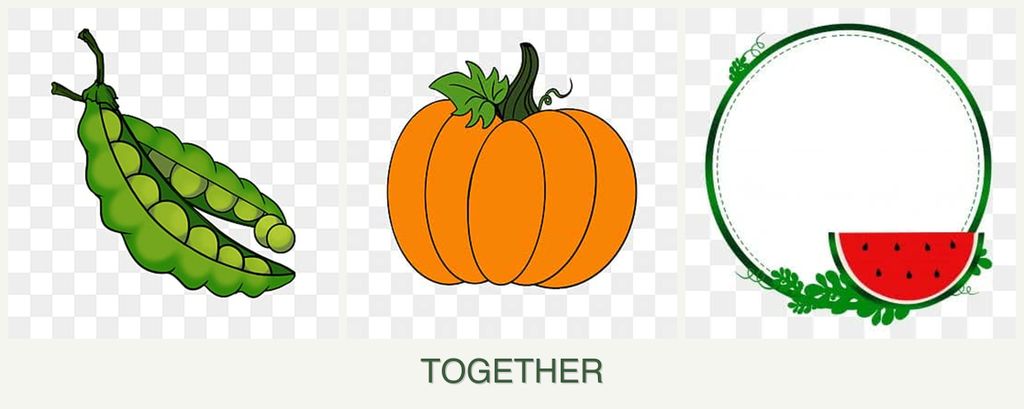 Can you plant peas, pumpkin and watermelons together?