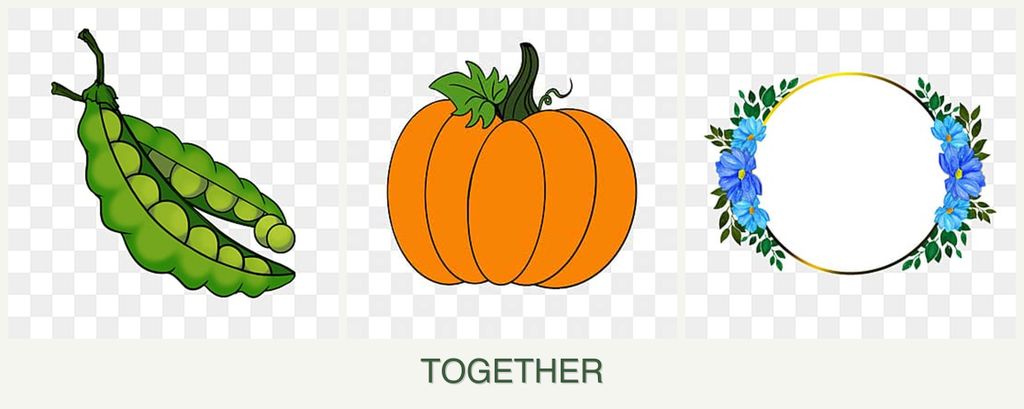 Can you plant peas, pumpkin and zinnias together?