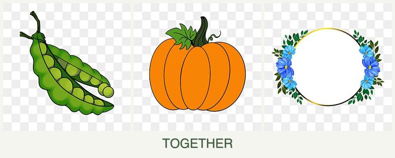 Can you plant peas, pumpkin and zinnias together?