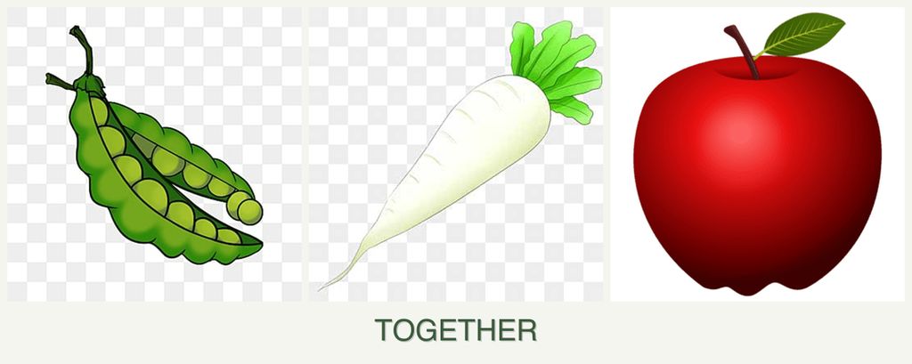 Can you plant peas, radishes and apples together?