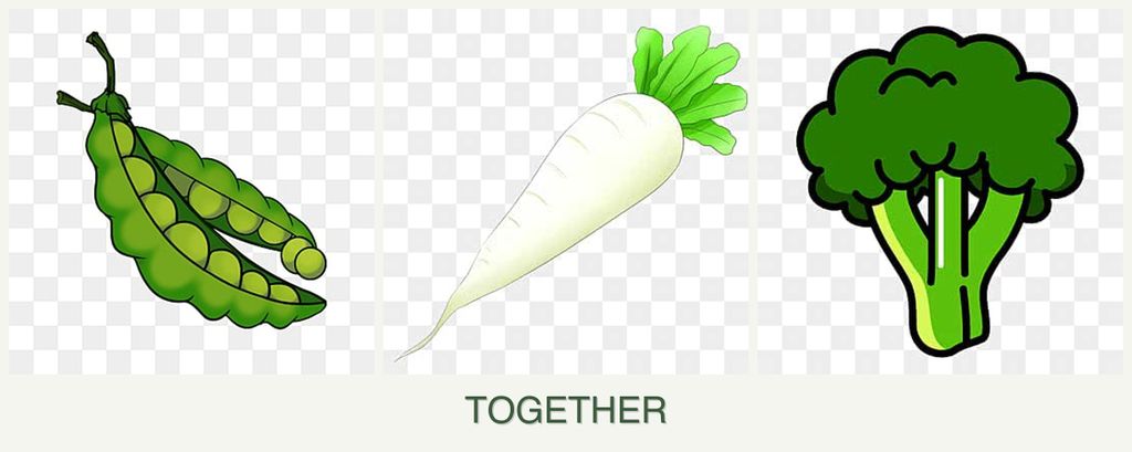 Can you plant peas, radishes and broccoli together?