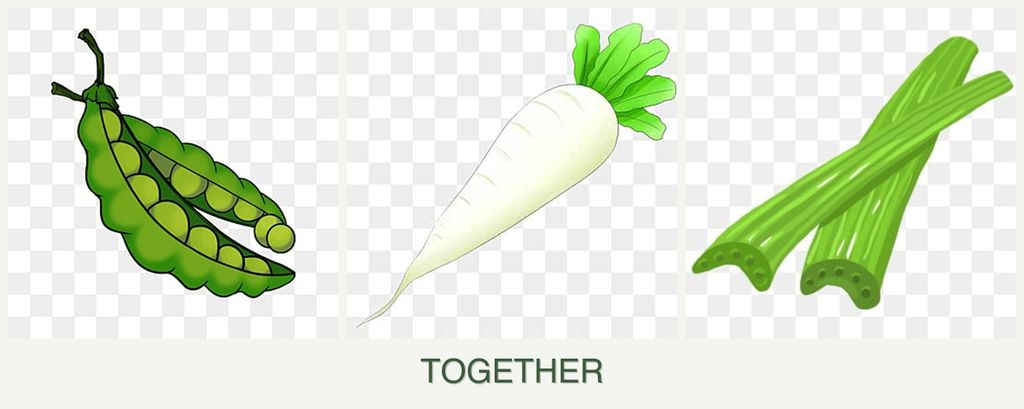 Can you plant peas, radishes and celery together?