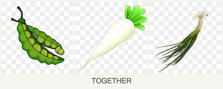 Can you plant peas, radishes and chives together?