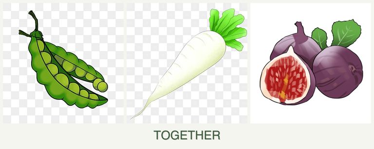 Can you plant peas, radishes and figs together?