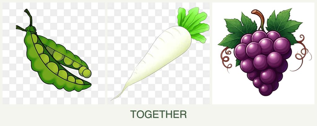 Can you plant peas, radishes and grapes together?