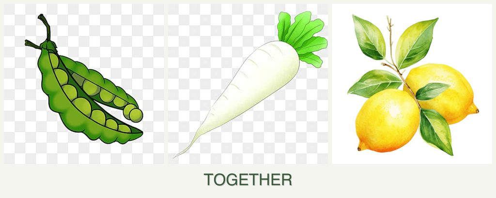 Can you plant peas, radishes and lemons together?
