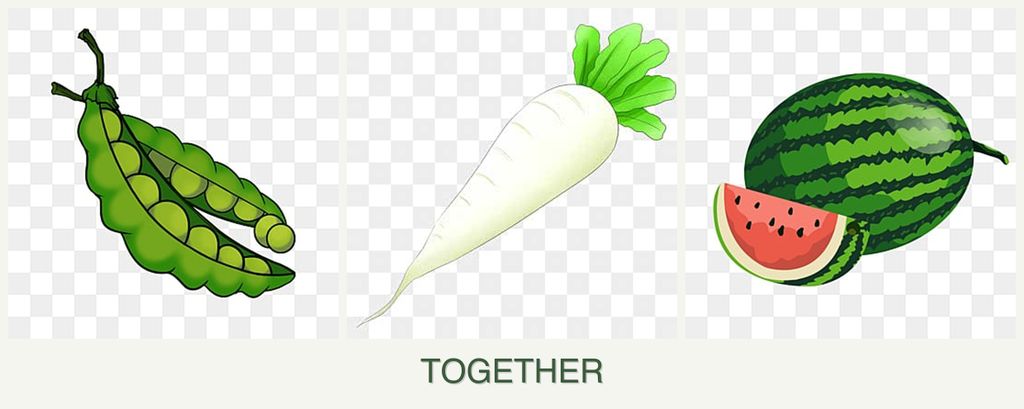 Can you plant peas, radishes and melons together?