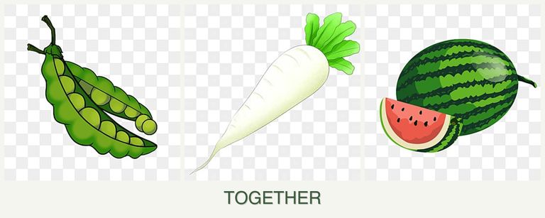 Can you plant peas, radishes and melons together?