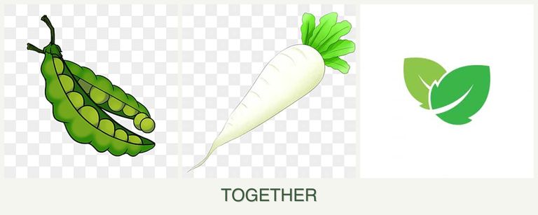 Can you plant peas, radishes and mint together?