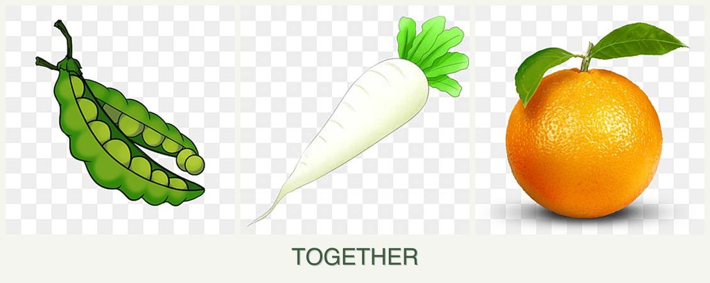 Can you plant peas, radishes and oranges together?
