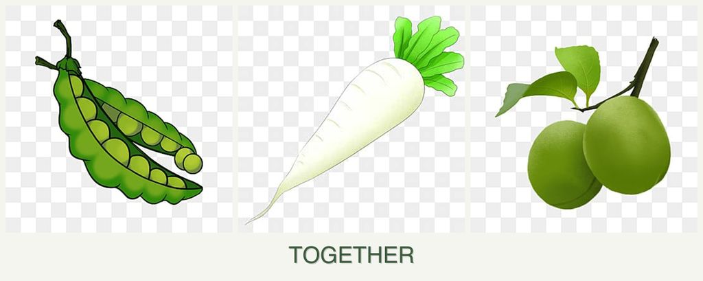 Can you plant peas, radishes and plums together?