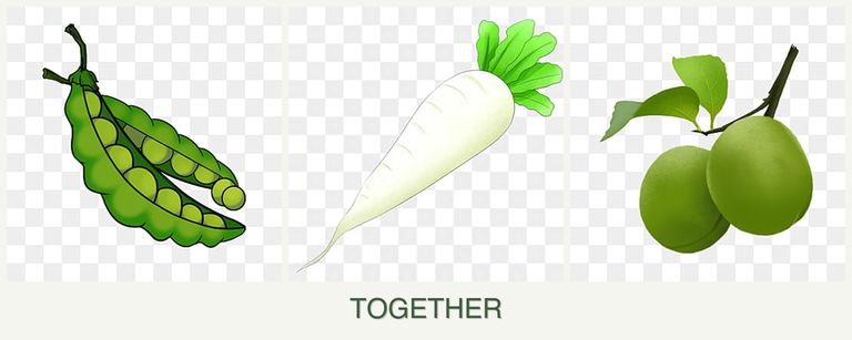 Can you plant peas, radishes and plums together?