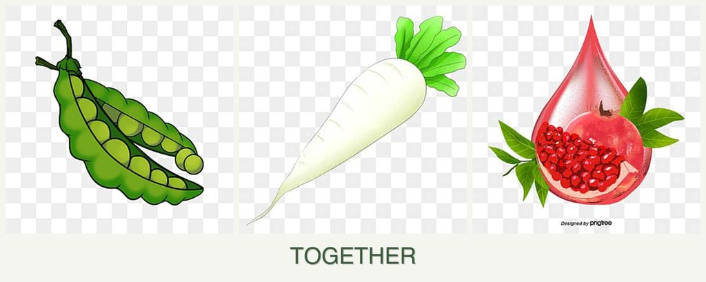 Can you plant peas, radishes and pomegranates together?