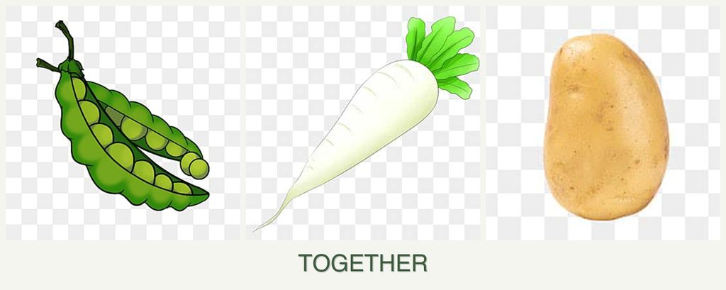 Can you plant peas, radishes and potatoes together?