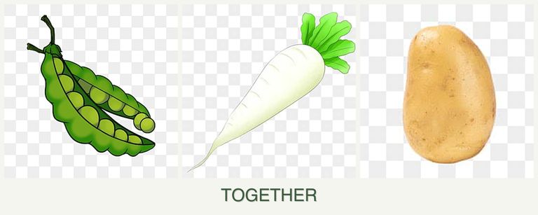 Can you plant peas, radishes and potatoes together?