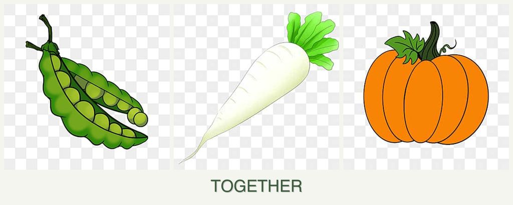 Can you plant peas, radishes and pumpkin together?