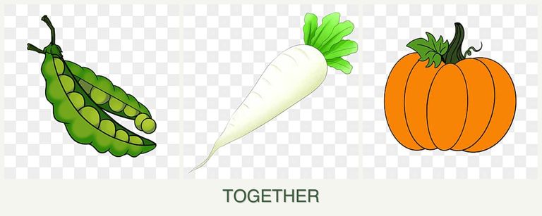 Can you plant peas, radishes and pumpkin together?