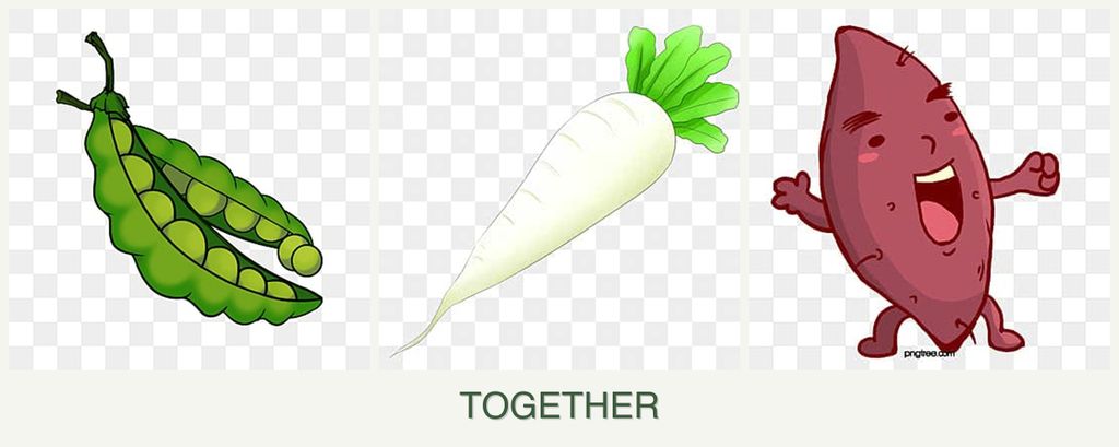 Can you plant peas, radishes and sweet potatoes together?