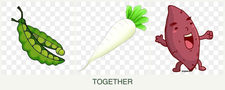 Can you plant peas, radishes and sweet potatoes together?