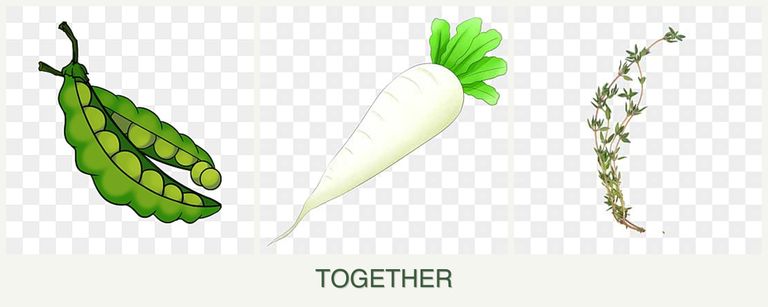 Can you plant peas, radishes and thyme together?