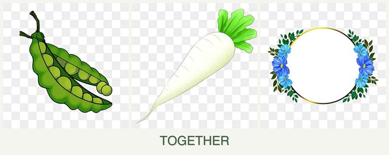 Can you plant peas, radishes and zinnias together?