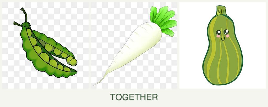Can you plant peas, radishes and zucchini together?