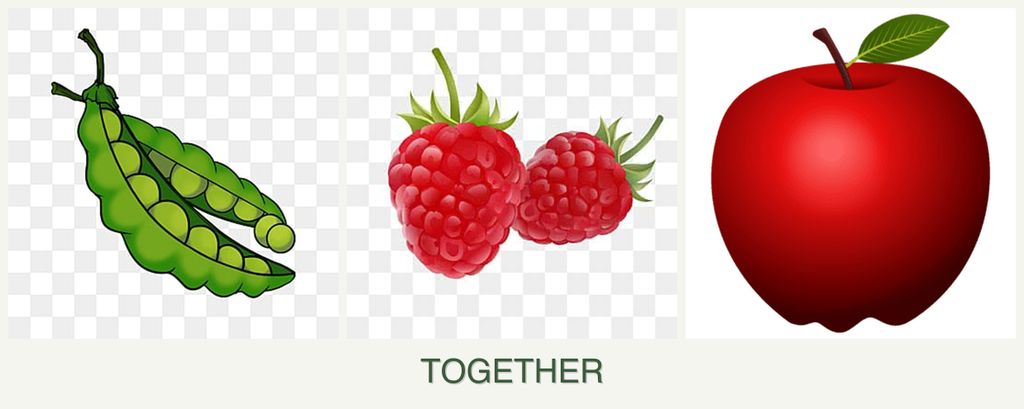 Can you plant peas, raspberries and apples together?