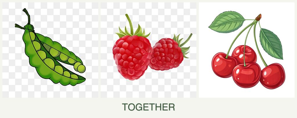 Can you plant peas, raspberries and cherries together?