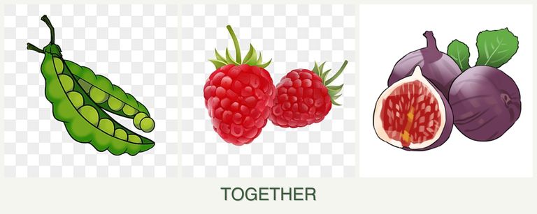 Can you plant peas, raspberries and figs together?