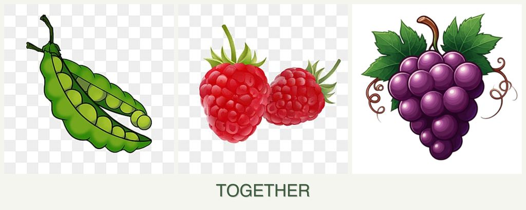 Can you plant peas, raspberries and grapes together?