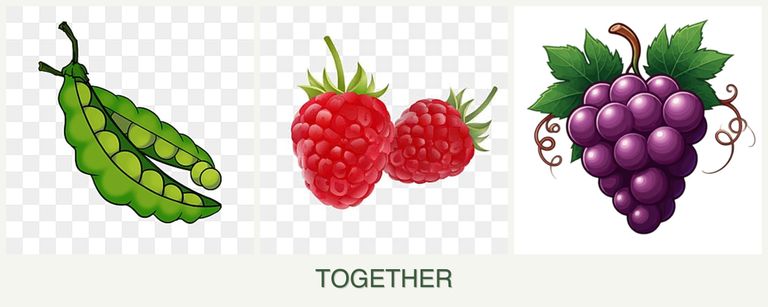 Can you plant peas, raspberries and grapes together?