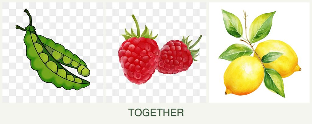 Can you plant peas, raspberries and lemons together?