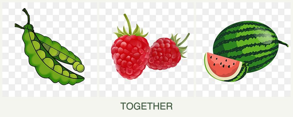 Can you plant peas, raspberries and melons together?