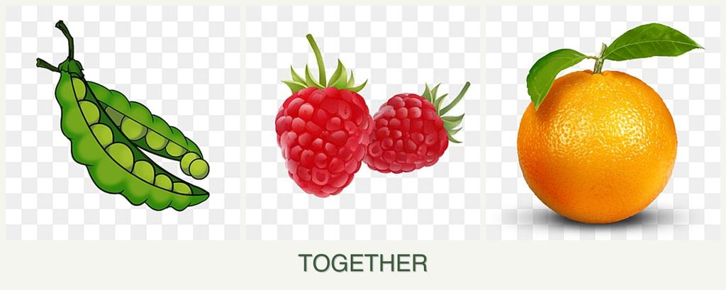 Can you plant peas, raspberries and oranges together?