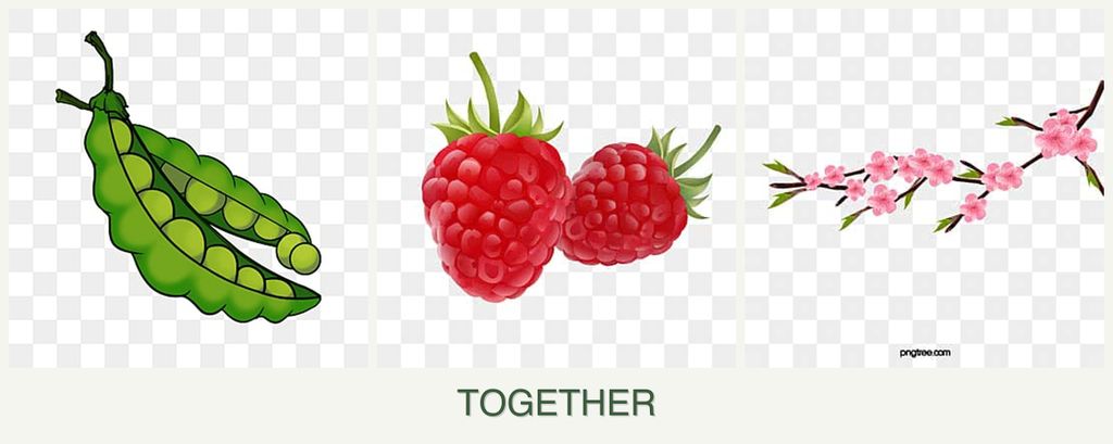 Can you plant peas, raspberries and peaches together?