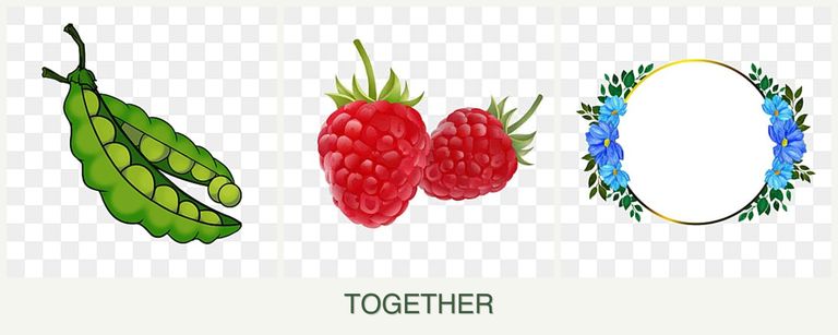 Can you plant peas, raspberries and zinnias together?