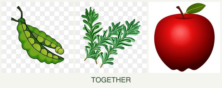 Can you plant peas, rosemary and apples together?