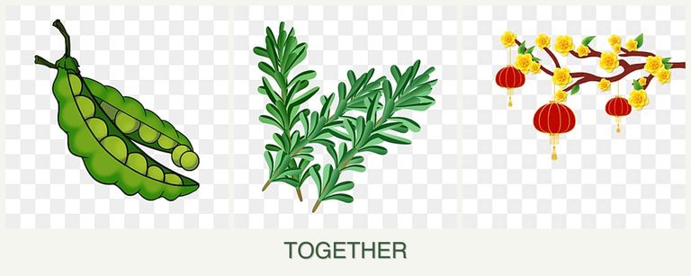 Can you plant peas, rosemary and apricots together?
