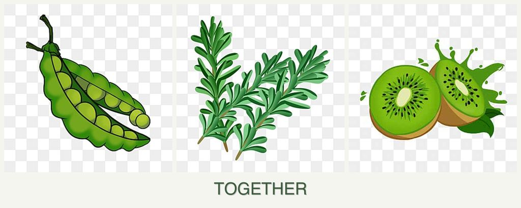 Can you plant peas, rosemary and kiwi together?