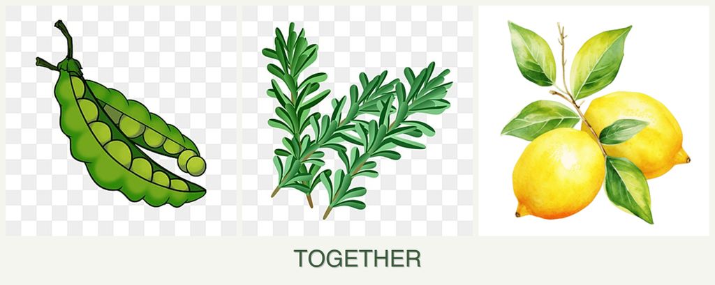 Can you plant peas, rosemary and lemons together?