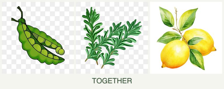 Can you plant peas, rosemary and lemons together?
